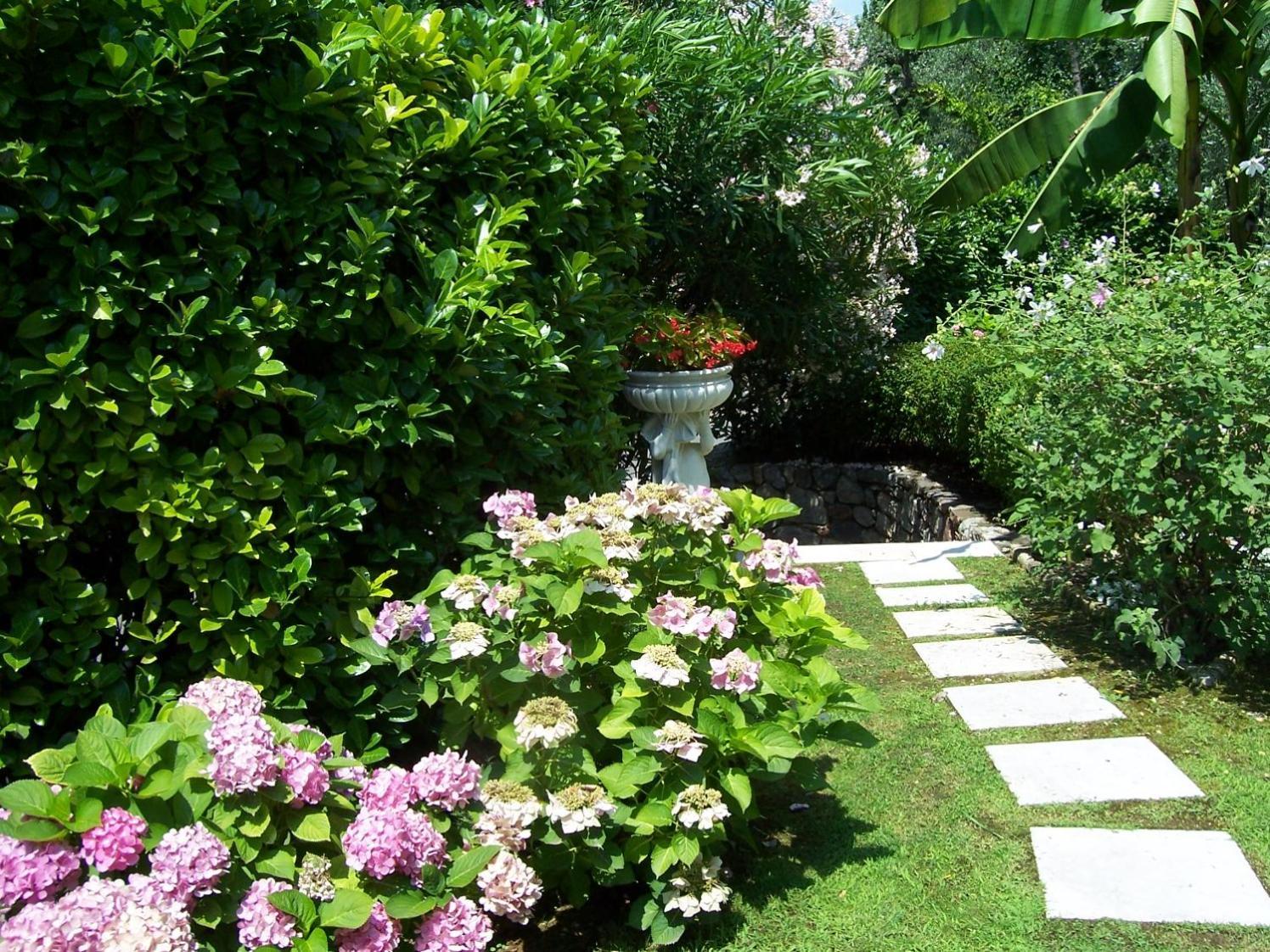 Villa Giada Torri Del Benaco Εξωτερικό φωτογραφία