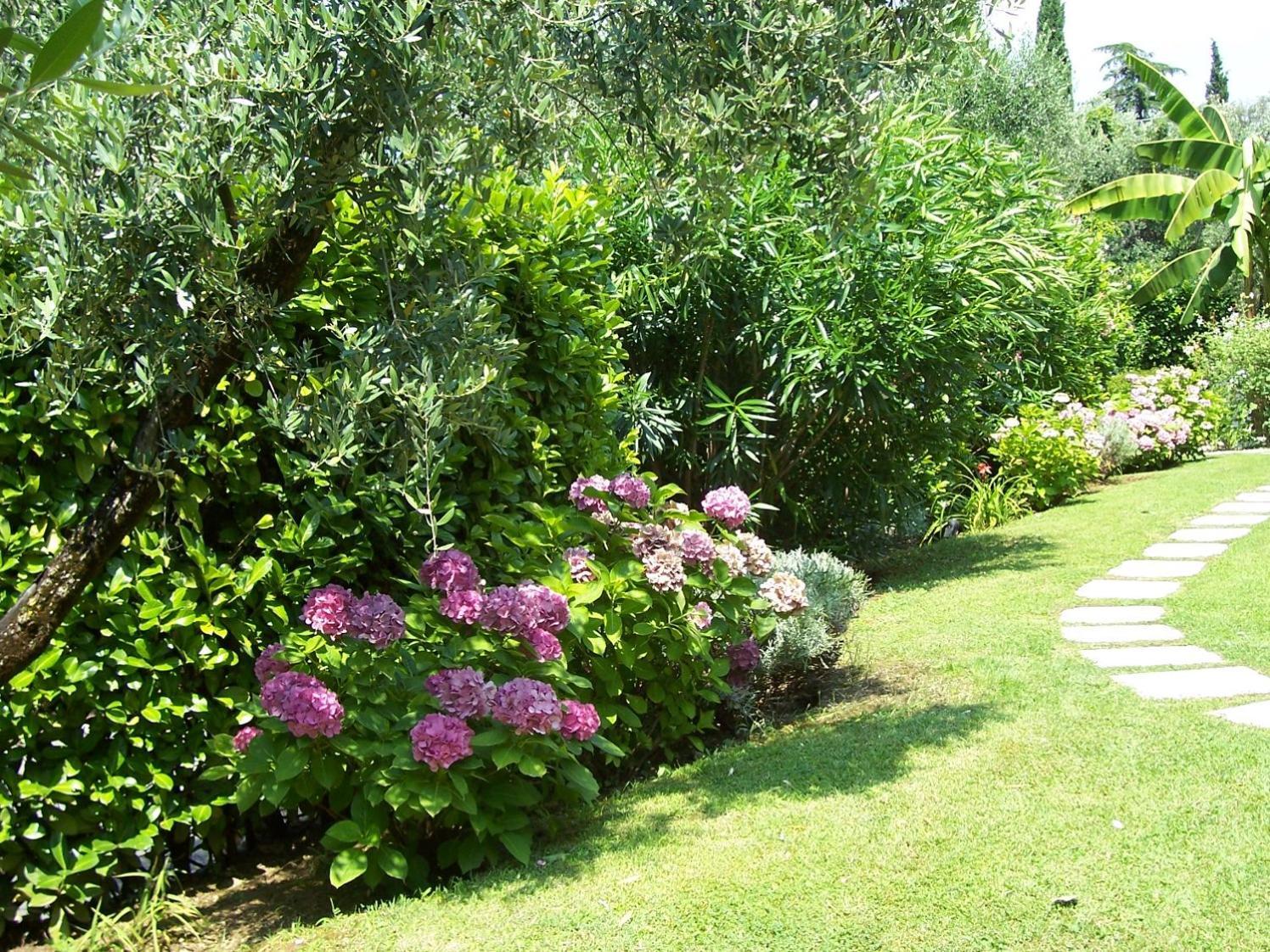 Villa Giada Torri Del Benaco Εξωτερικό φωτογραφία