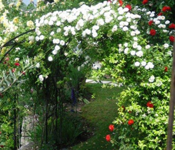 Villa Giada Torri Del Benaco Εξωτερικό φωτογραφία